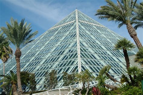 Moody gardens galveston tx - Get a LIVE look at the famous Moody Gardens Pyramids in Galveston. Get a LIVE look at the famous Moody Gardens Pyramids in Galveston. ... Galveston, Texas 77550 (409) 797-5000; info@visitgalveston.com; Facebook; Instagram; Twitter; TikTok; YouTube; Pinterest; Podcast; Local Expertise.